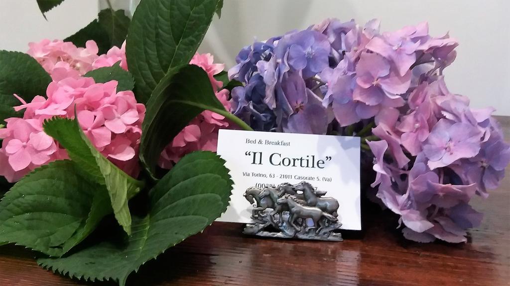 B&B Il Cortile Malpensa Casorate Sempione Kültér fotó